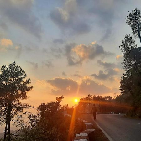 Him Aashrey B&B Homestay שימלה מראה חיצוני תמונה